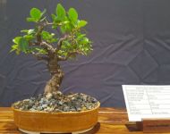 20160925 131621